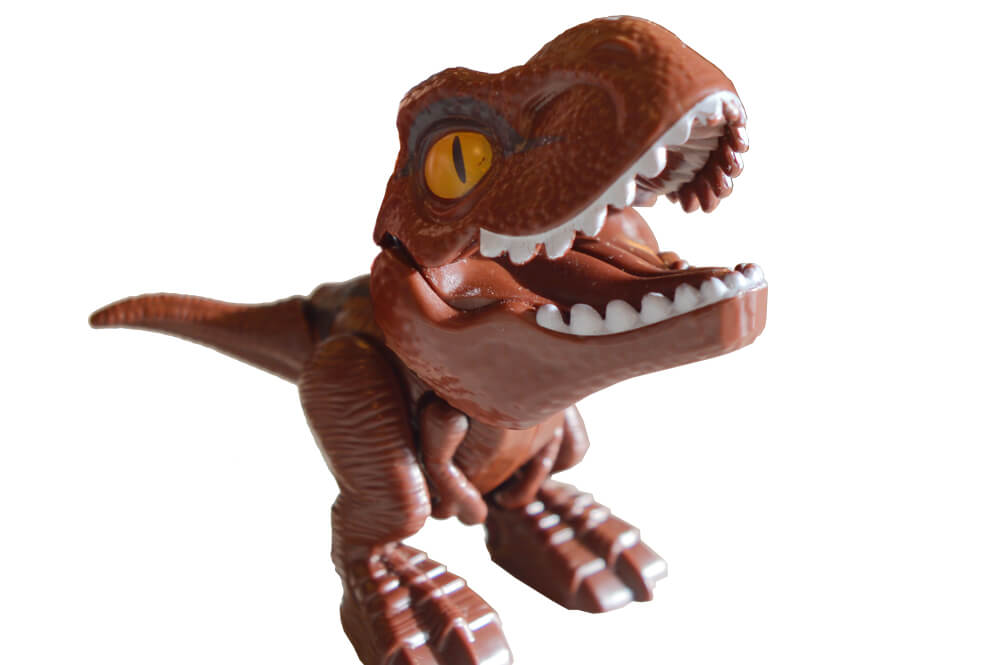 Feed Rex
